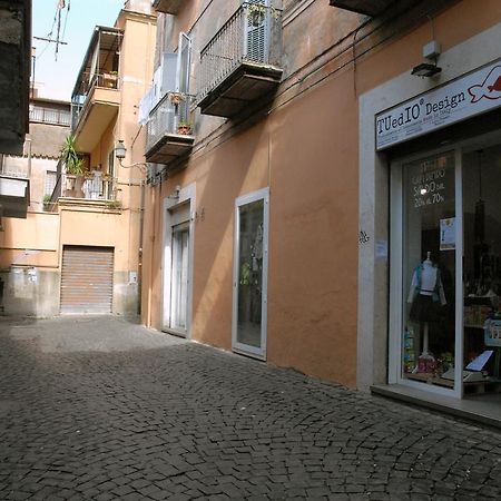Villa Loft 17 Albano Laziale Exterior foto